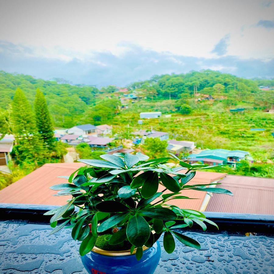 Pine Forest House Dalat Dış mekan fotoğraf